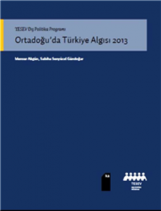 TESEV “Ortadoğu’da Türkiye Algısı 2013” raporu