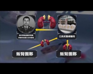 Bu görüntü Guangzhou Askeri Bölgesi Genel Hastanesinde Zhu Yunsong’un böbrekleri tedarik sistemini özetliyor. Çince başlıklar (sol üst köşeden başlayarak saat yönünde) Zhu Yunsong, Jiangxi Eyaletindeki Silahlı Polis Genel Hastanesi, organ ticareti grubu ve organ ticareti grubu. (Yeni Tang Hanedanlığı Televizyonunun (NTDTV) izniyle)