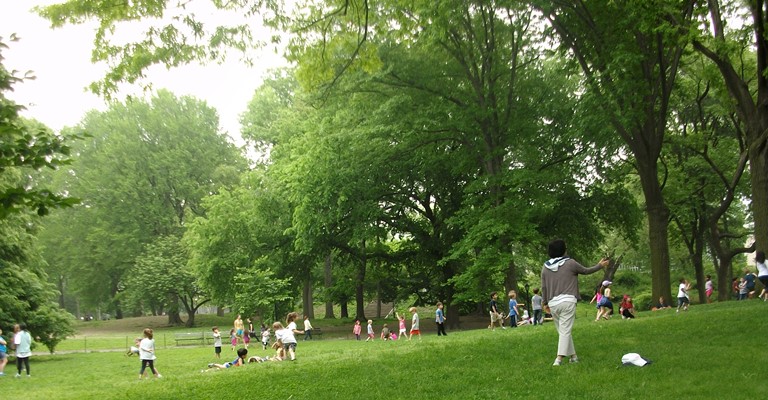 Anaokulu çocukları Central parkta özgürce oyun oynuyorlar