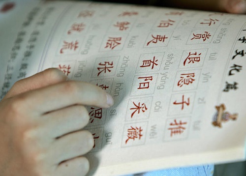 Bir öğrenci Çince karakterleri öğrenirken (Fotoğraf : Liu Jin / Getty Images)