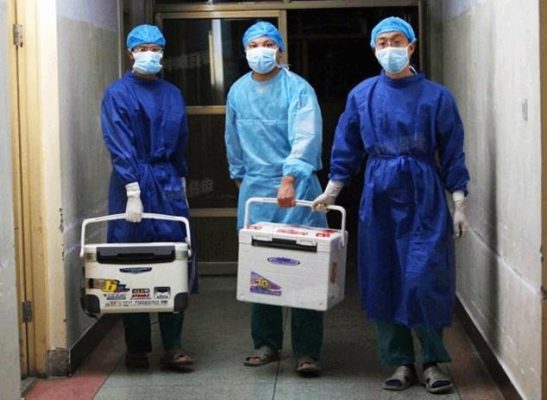 Henan,16 Ağustos 2012, Çinli Doktorlar organ nakil kutularını taşıyorlar. (Fotoğraf: Screenshot Sohu.com ) 