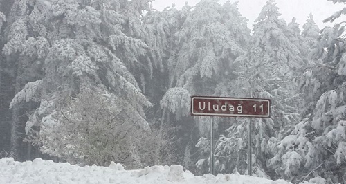 Uludağ yolu yoğun kar yağışı sebebiyle trafiğe kapandı (İHA)