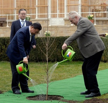 Prag'da bulunan, Lany Kalesi'nde Xi ve Zeman ağaç dikti. (Foto: AFP / Getty Images)