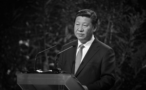 Xi Jinping Yeni Zelanda’da, 21 Kasım 2014 (Greg Bowker / Getty Images)