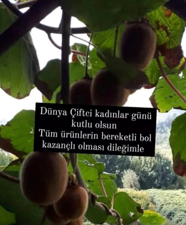 (Fotoğraf: Şerife Eser)