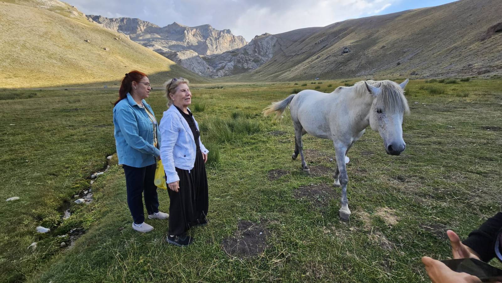 Meydan Yaylası’nda yılkı atları. (Fotoğraf: Aysel Özcan Yetiş)